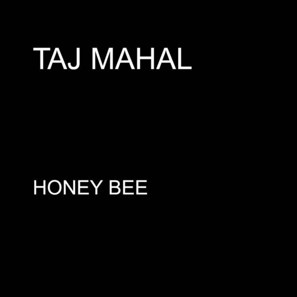 Taj Mahal events