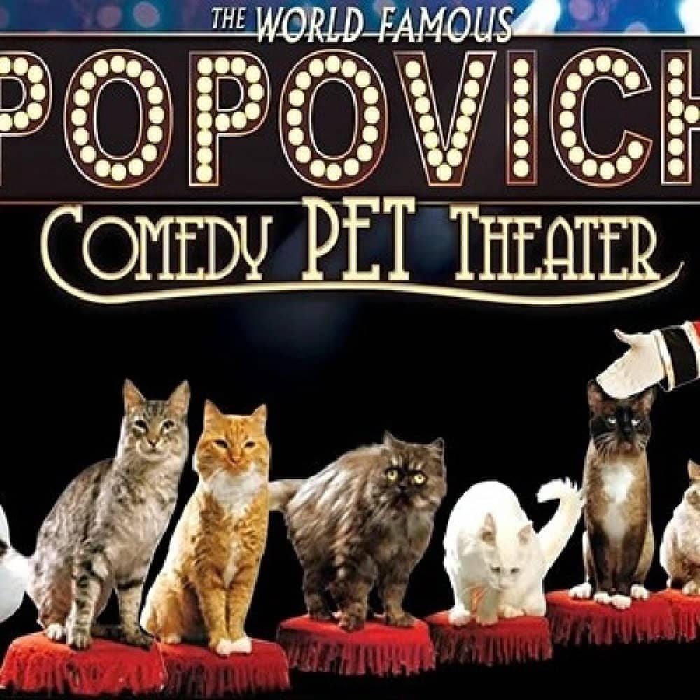 Popovich Comedy Pet Theater events