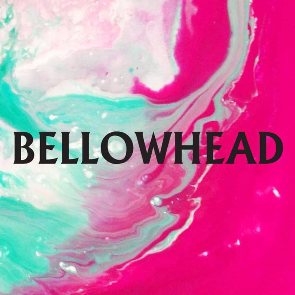 Bellowhead events