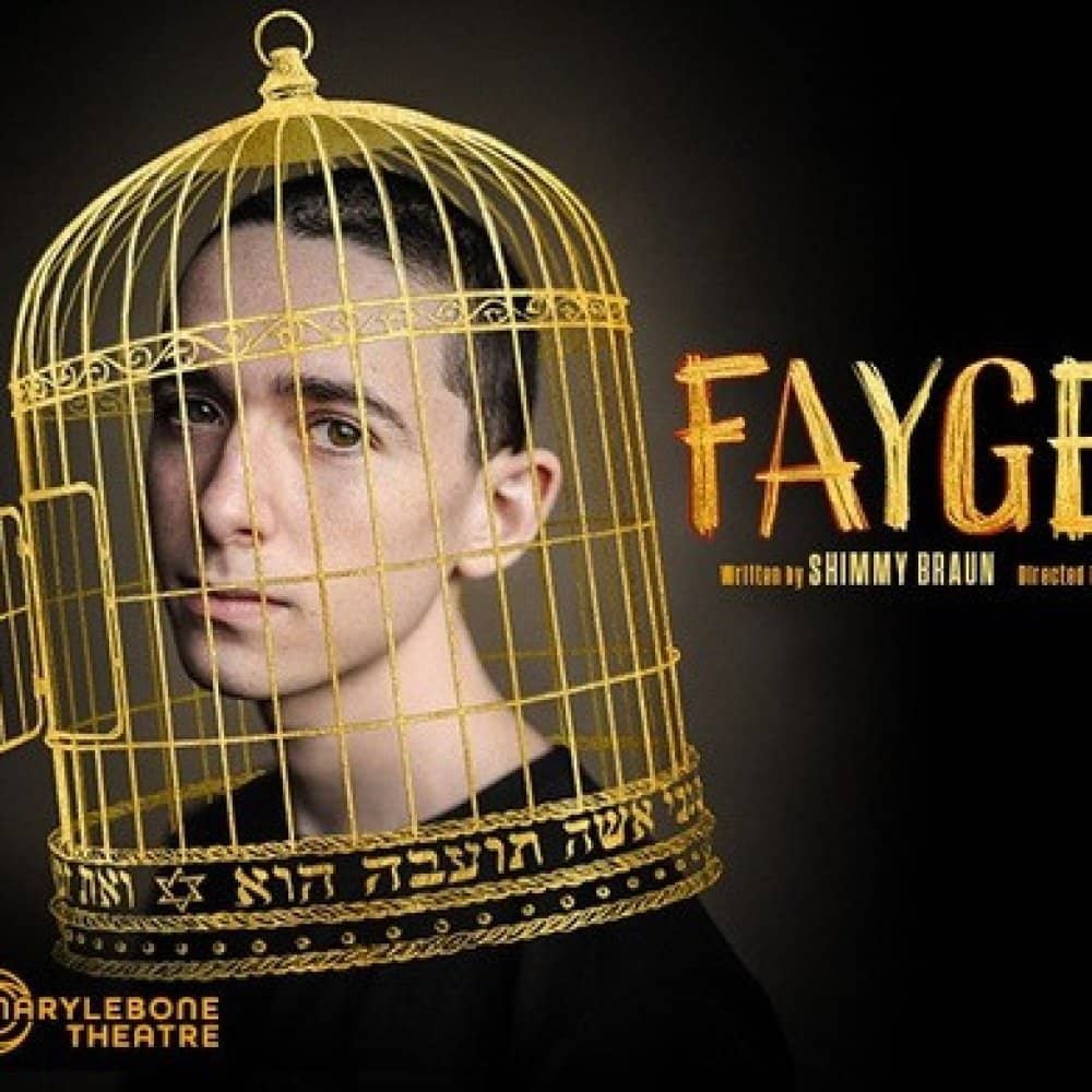Faygele events