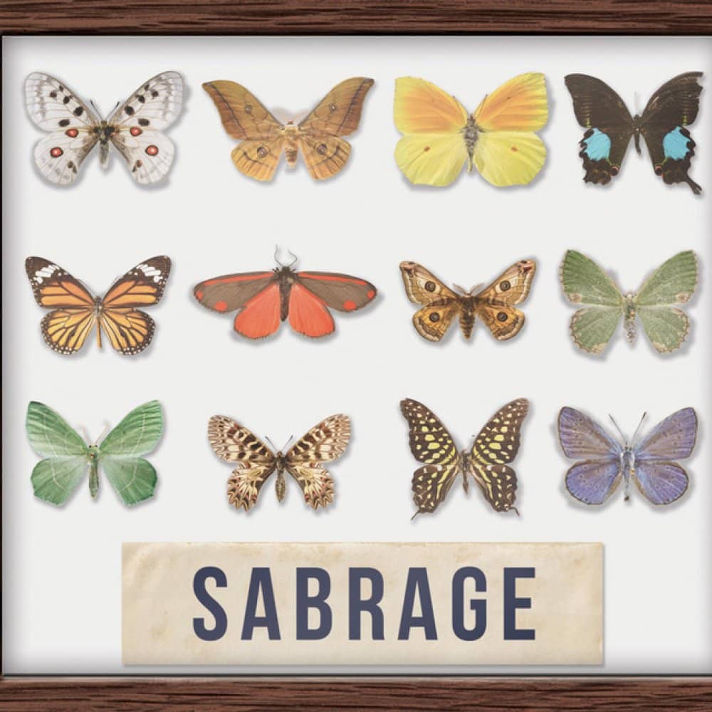 Sabrage events