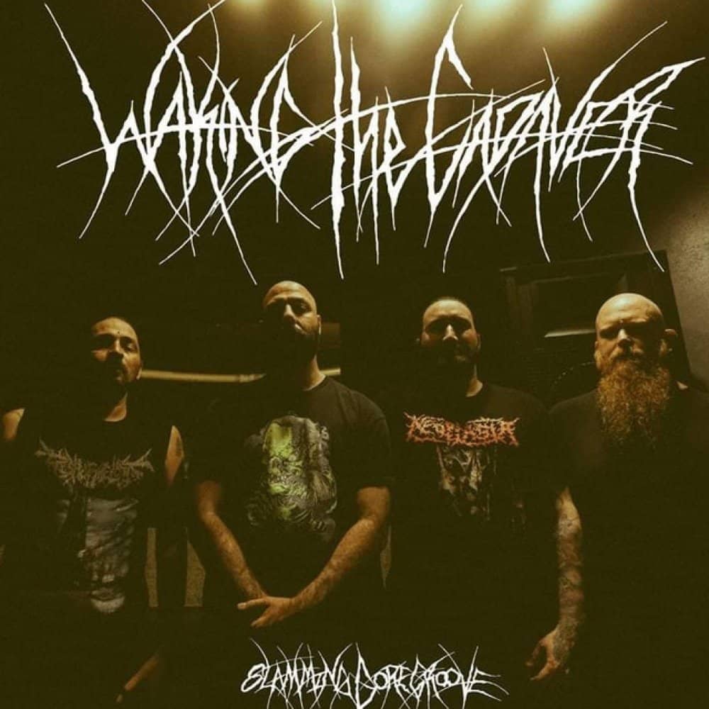 Waking the Cadaver events