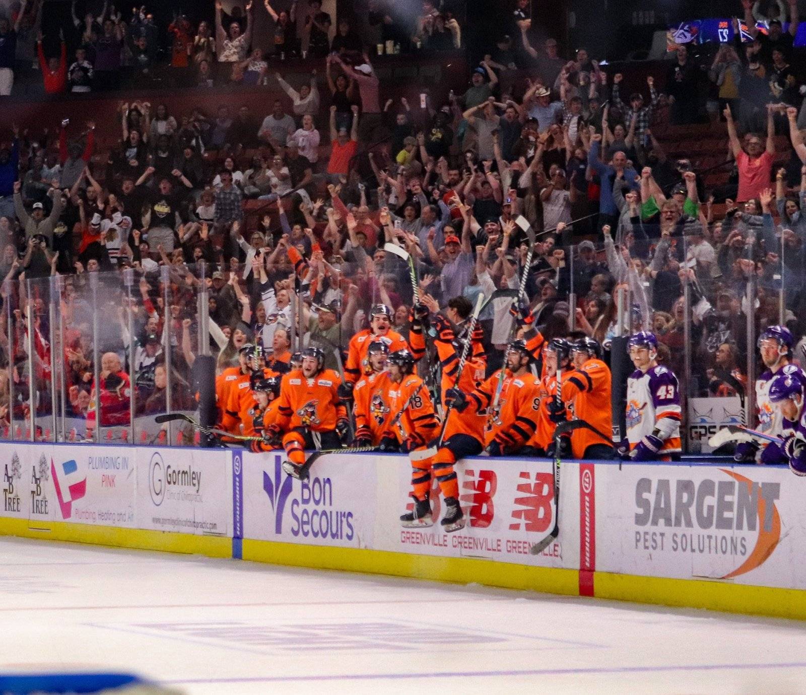 Greenville Swamp Rabbits events