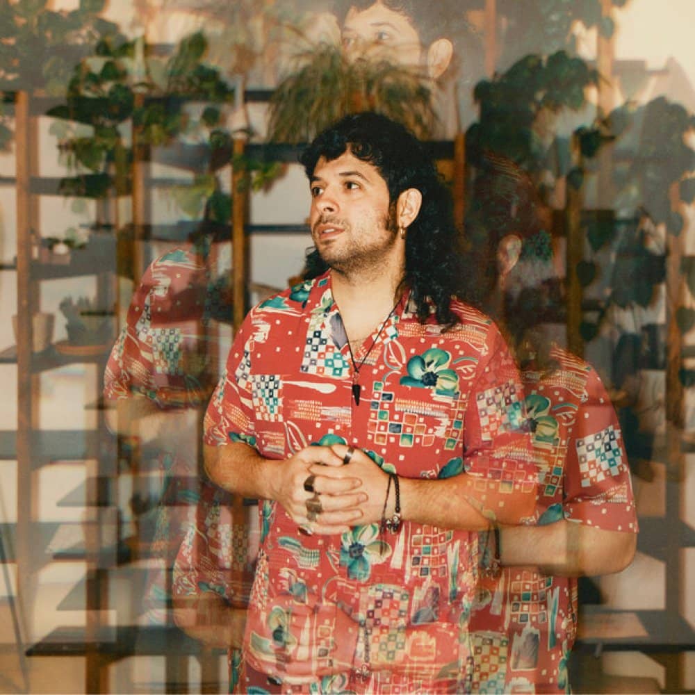 Flamingosis events