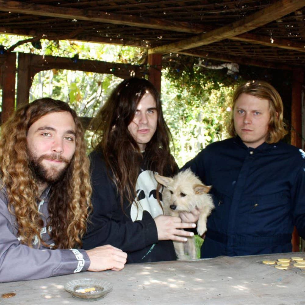 Fuzz events