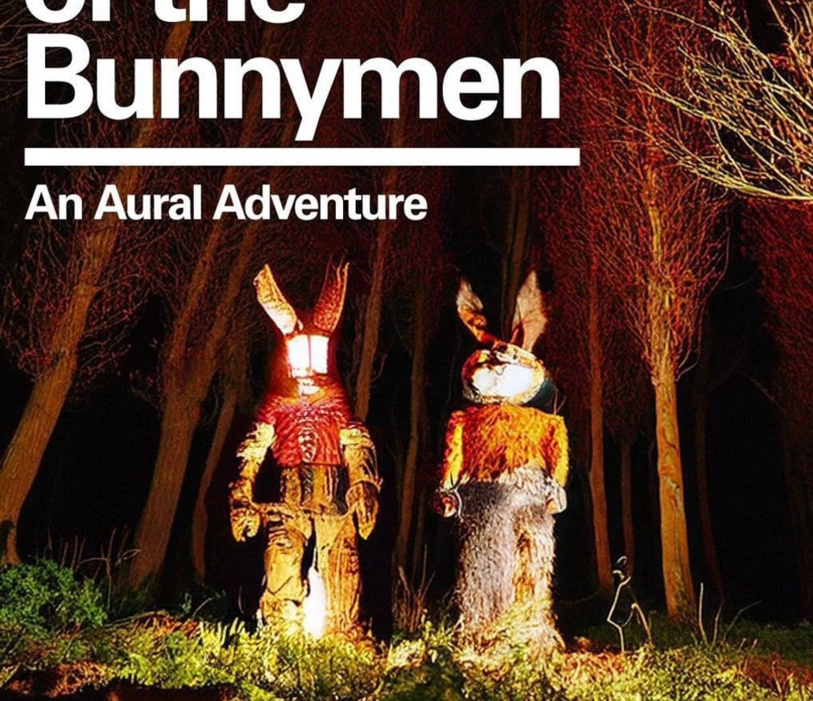 Echoes of the Bunnymen events