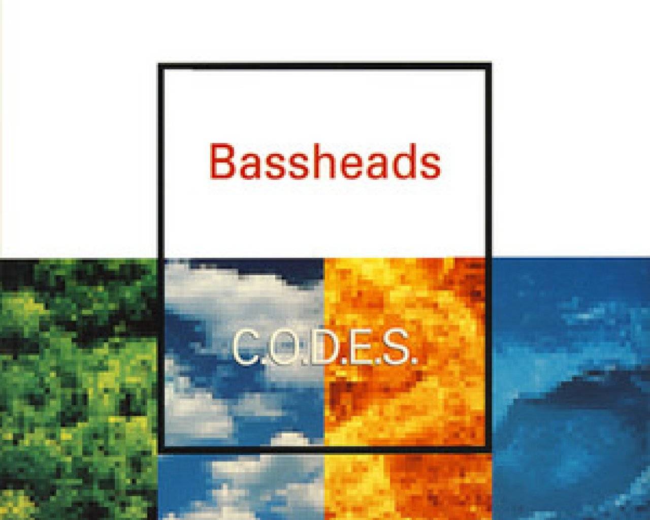 Bassheads events