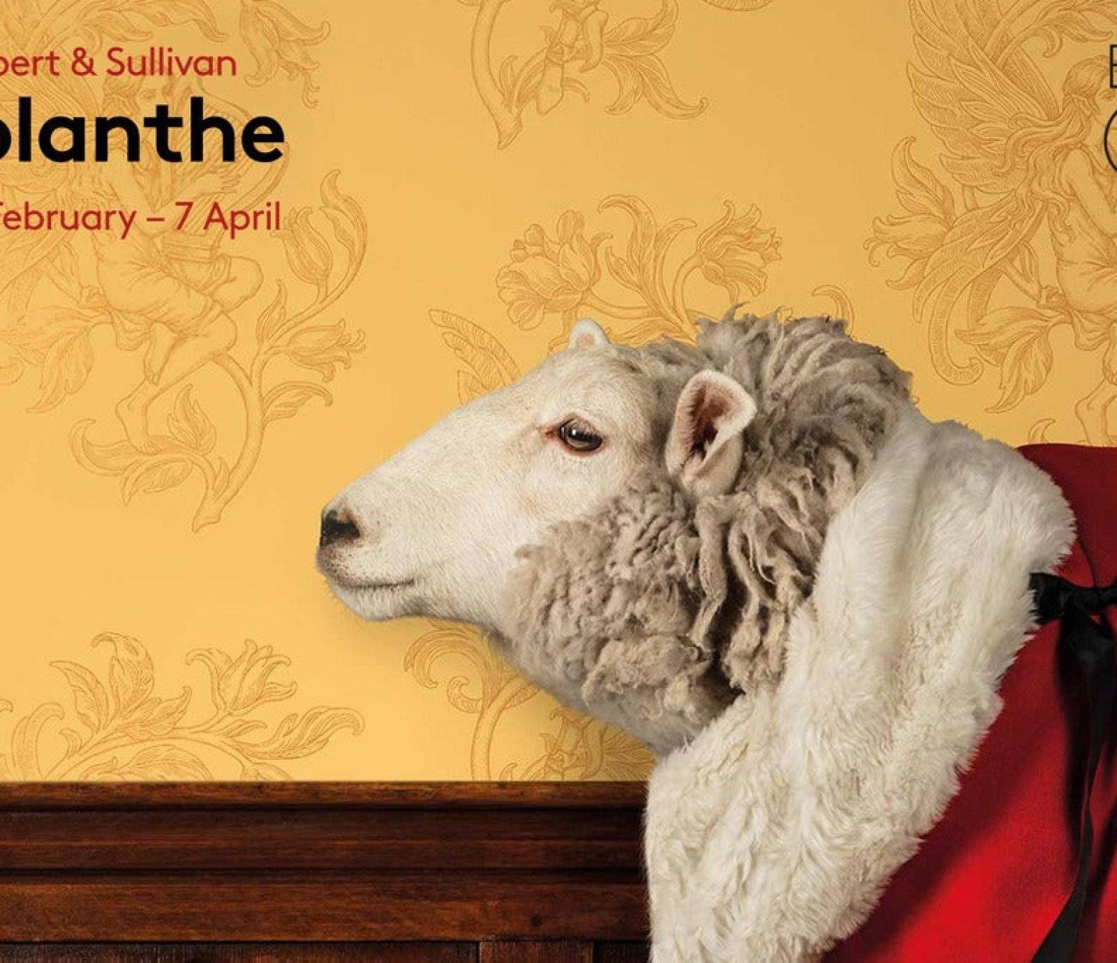 Iolanthe events