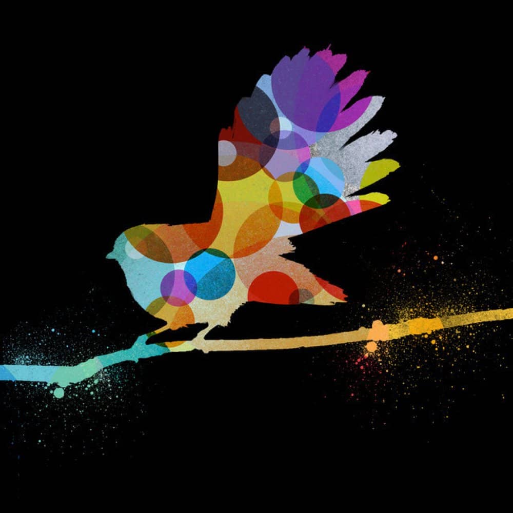 Fly My Pretties  events