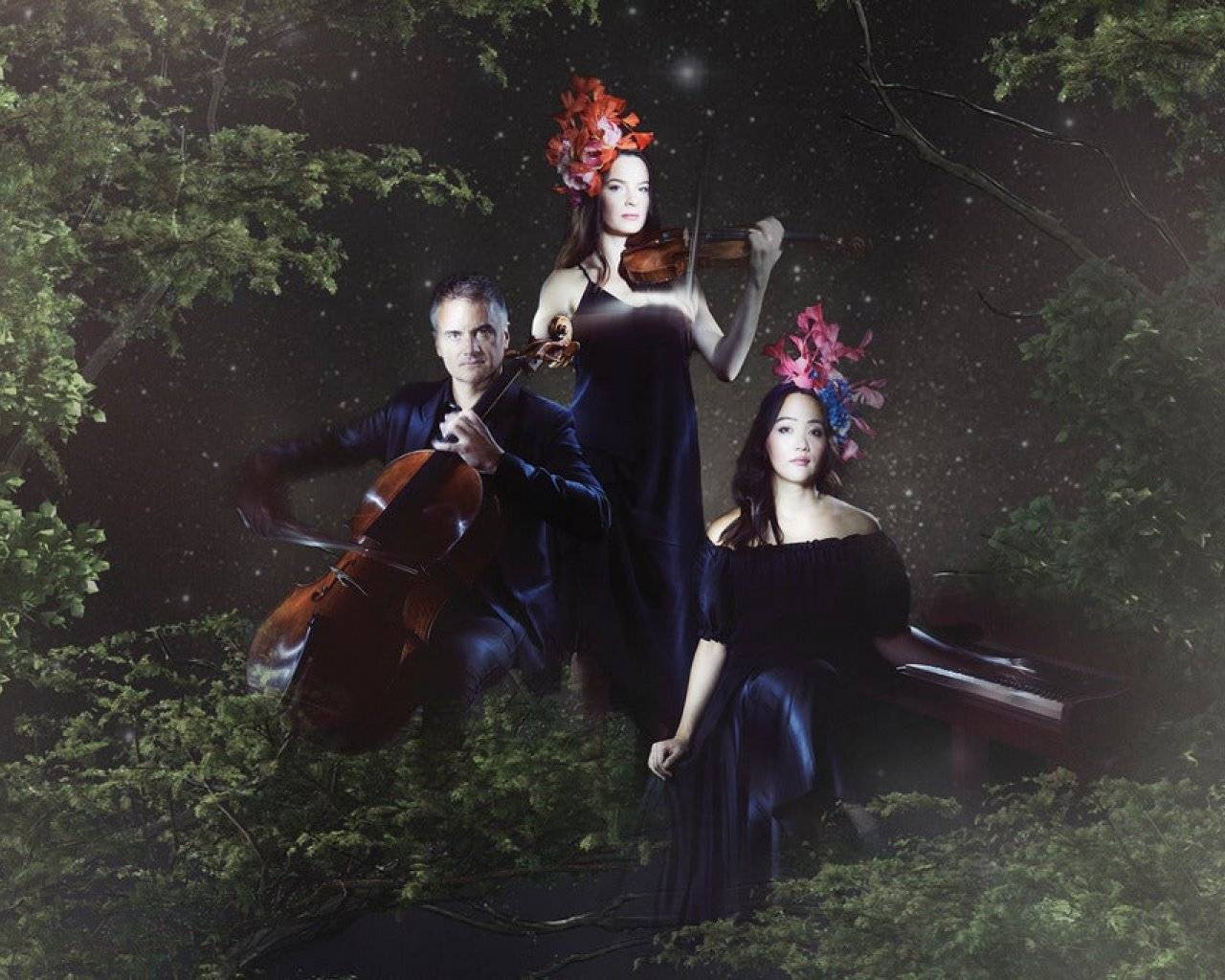 NZTrio events