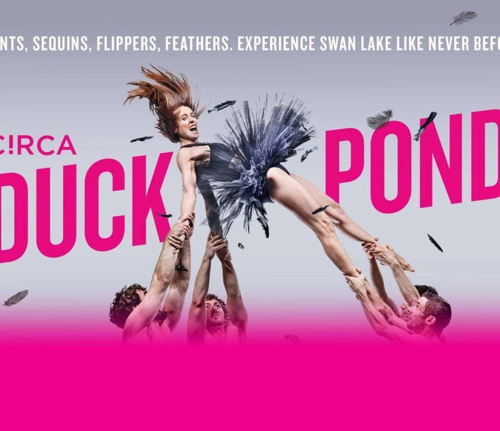Duck Pond events