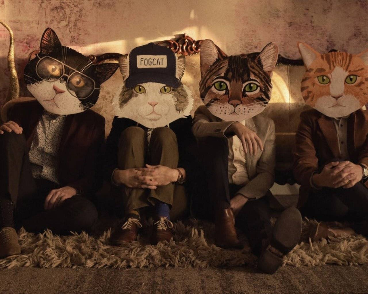 Fantastic Cat events