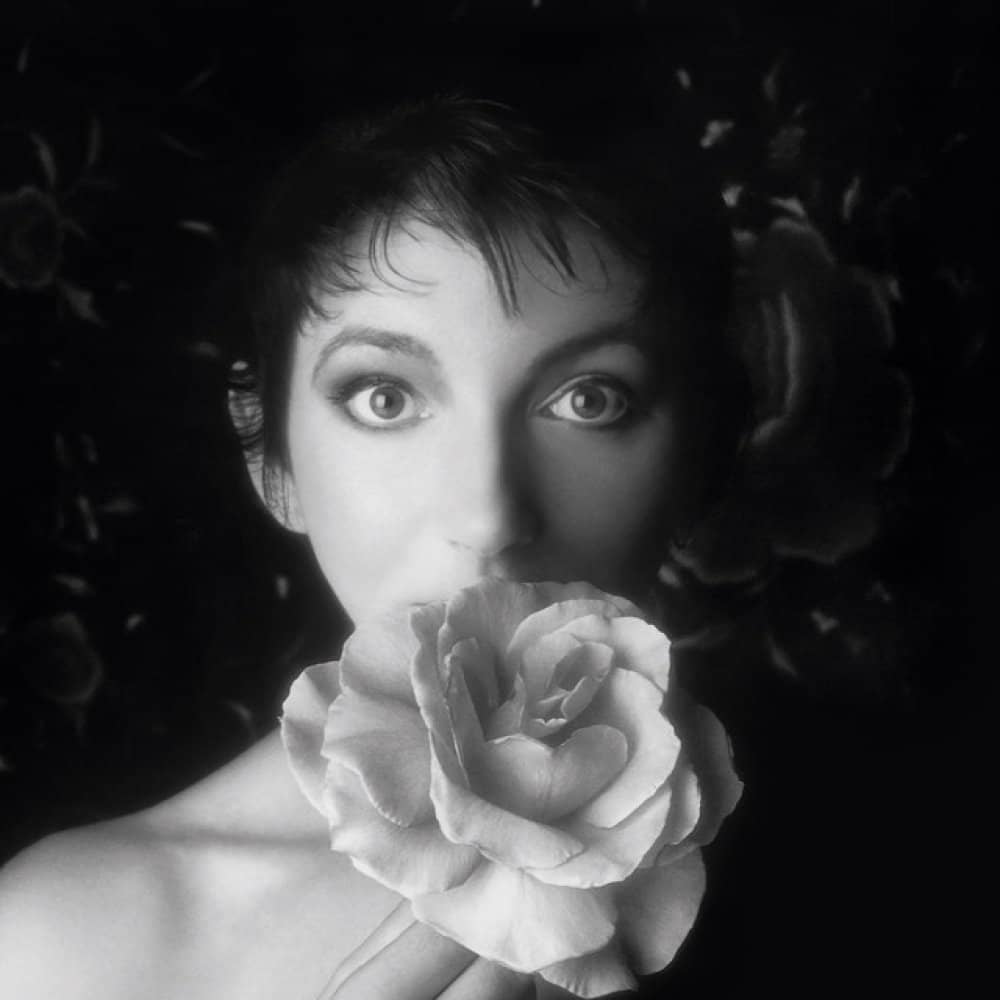 Kate Bush KA events
