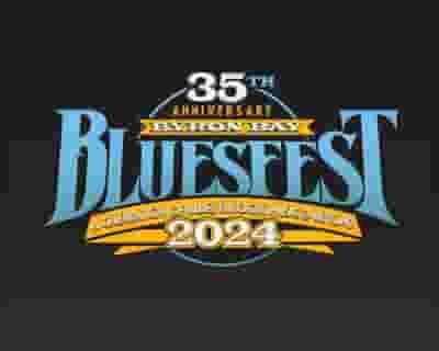 Bluesfest 2024 tickets blurred poster image