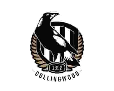 2024 NAB AFL Women's Competition - Collingwood v West Coast Eagles tickets blurred poster image