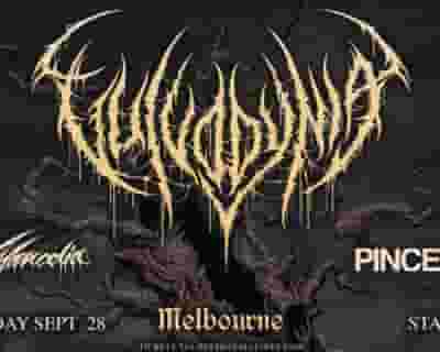 Vulvodynia tickets blurred poster image