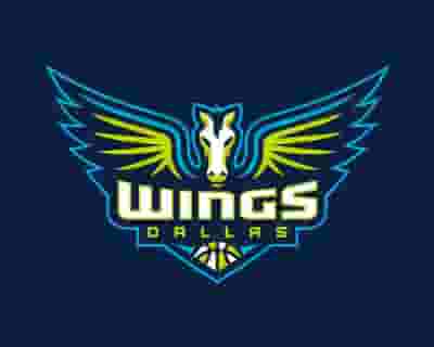 Dallas Wings blurred poster image