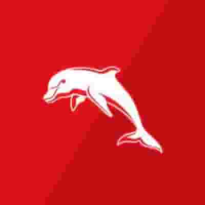 Dolphins (NRL) blurred poster image