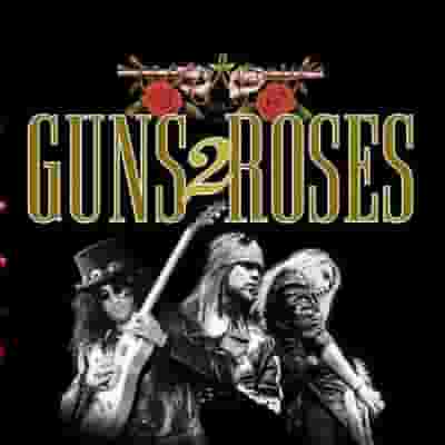 Guns 2 Roses blurred poster image