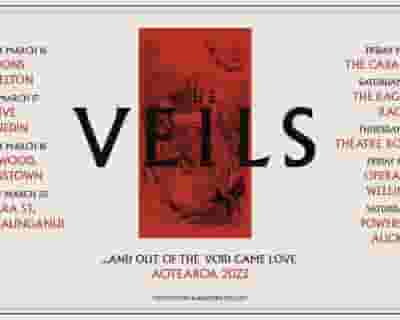 The Veils tickets blurred poster image