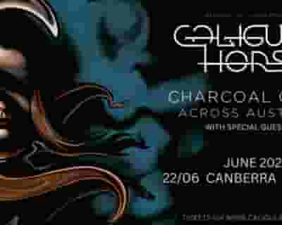 Caligula's Horse Charcoal Grace Across Australia | Canberra tickets blurred poster image