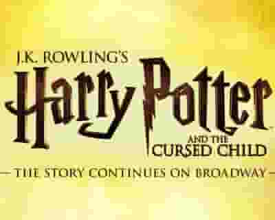 Harry Potter and the Cursed Child - Parts 1 & 2 Weds 14:00 & 19:30 tickets blurred poster image