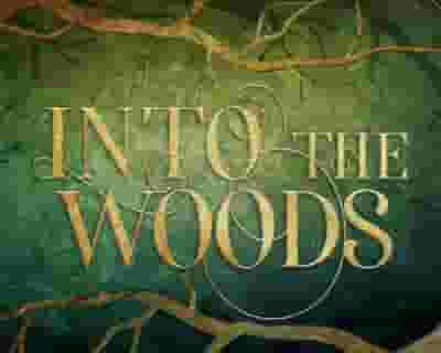 Into the Woods tickets blurred poster image