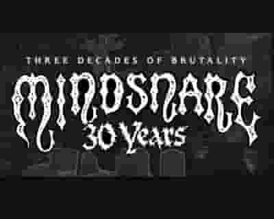 Mindsnare tickets blurred poster image