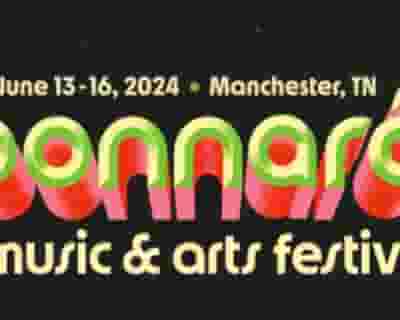 Bonnaroo Music Festival 2024 tickets blurred poster image