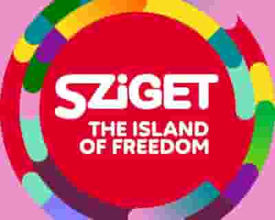 Sziget Festival 2022 tickets blurred poster image