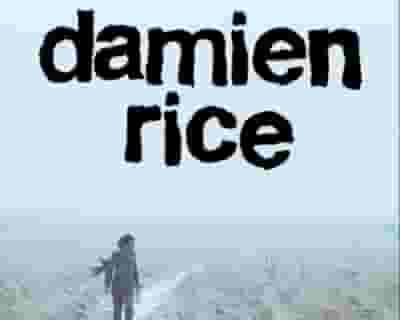 Damien Rice tickets blurred poster image