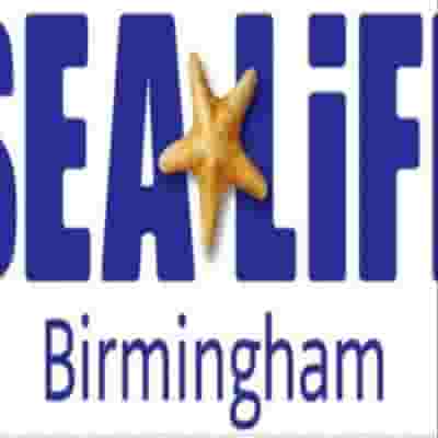 Sea Life Birmingham blurred poster image