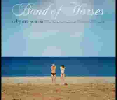 Band of Horses blurred poster image