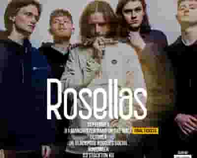 Rosellas tickets blurred poster image