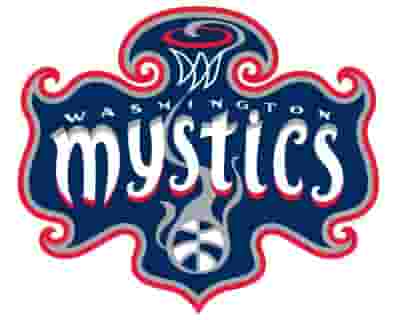Washington Mystics blurred poster image