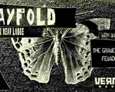Strayfold tickets blurred poster image