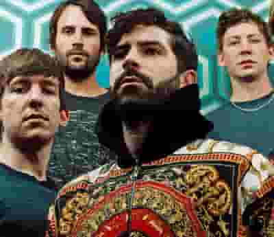 Foals blurred poster image
