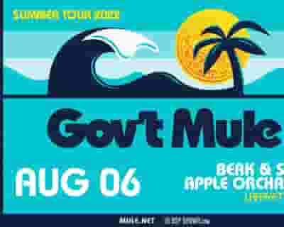 Gov't Mule tickets blurred poster image