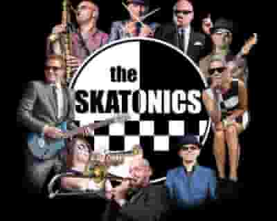 The Skatonics blurred poster image