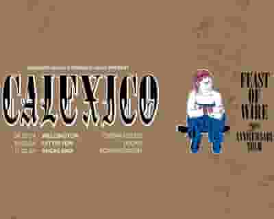 Calexico tickets blurred poster image
