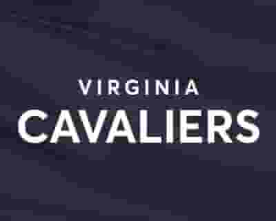 University of Virginia Cavaliers Baseball blurred poster image