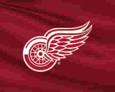 Detroit Red Wings blurred poster image