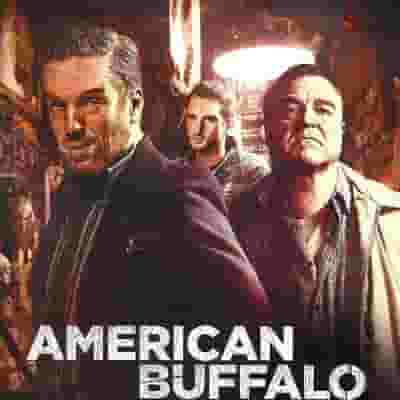 American Buffalo blurred poster image