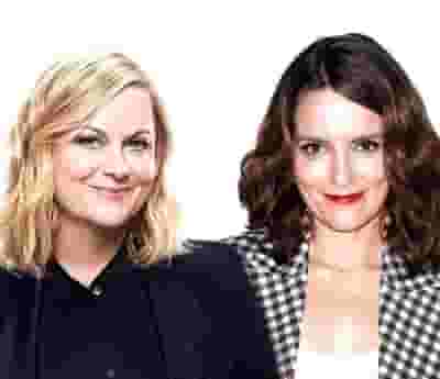 Tina Fey & Amy Poehler blurred poster image