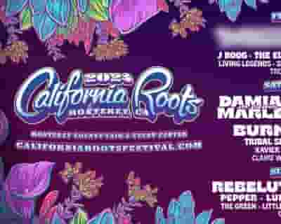 California Roots Music and Arts Festival 2024 tickets blurred poster image