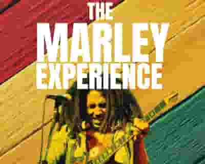 The Marley Experience tickets blurred poster image