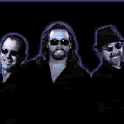 The Best Of The Bee Gees blurred poster image