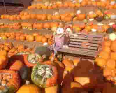 Llynclys Hall Farm Shop Pick Your Own Pumpkins tickets blurred poster image