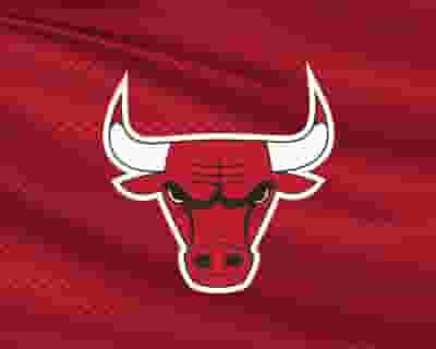 Chicago Bulls blurred poster image