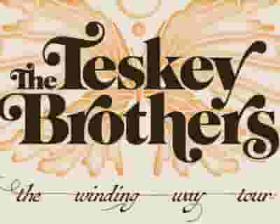 The Teskey Brothers tickets blurred poster image